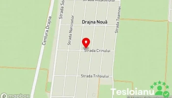 A.f. Enache Gheorghiţa - Drajna Nouă