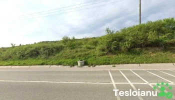 Aletys Impex - Str. Catanesti, 32, Com. Podari, Dolj