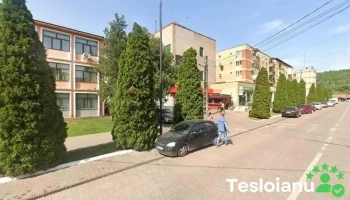 Allianz-Tiriac Asigurari Office Partener Atic4life Srl Agent de asigurare Sebis - Sebiș 315700