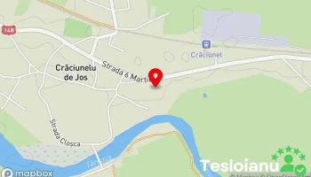 AnaVulc Tyre - Crăciunelu De Jos