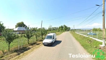 Andrei Construct Srl - Podoleni 617335