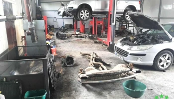 Auto K Urlati - Urlați 106300