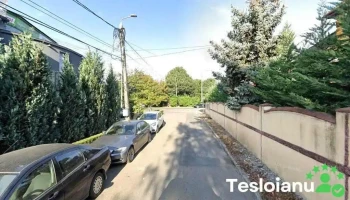 Auto tune up service - Dumbrăvița 307860