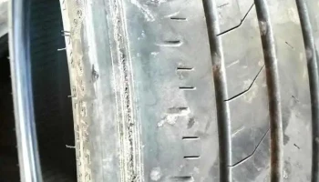 Auto Viv - Bivolăria