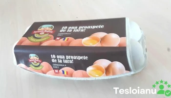 Avicola Rojiste - Rojişte