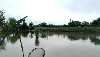 Balta Iratosu - Iratoșu