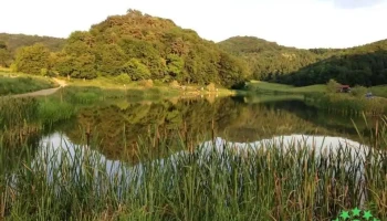 Balta Poligon Dumbrăveni - Dumbrăveni