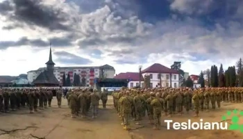 Batalionul 817 Artilerie Petru Rareş - România