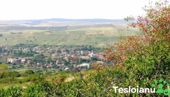 Batoş - Batoş