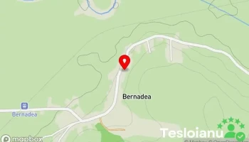 Bernadea - Bernadea