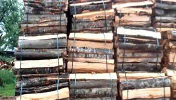 Betti Com-Forest Srl - Ditrău 537090