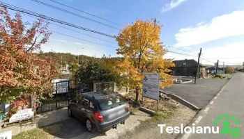Biovet-serv Srl - Voineşti 137525