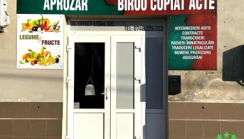 Birou Copiat Acte Pecica/Aprozar Pecica - Pecica 317235