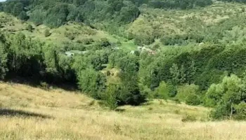 Boiereni - Boiereni