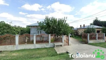 Brezoaia - Brezoaia 137061
