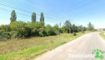 Bucov - Corlătești 107060