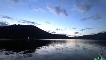 Bucur Ponton - Port