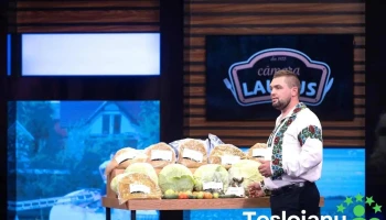 Camara Laurus - Milișăuți