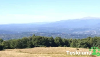 Campulung Industrial Park - România
