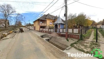 Casa Oancea - Valea Mare Pravăț