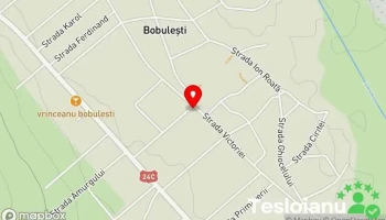 Castrol Service Luca Autoservice Bobulești - Bobulești