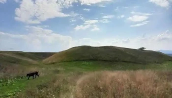 Castrul roman de la Comolău - Reci