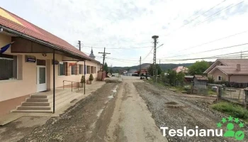 Cedrus Farm. - Salaj