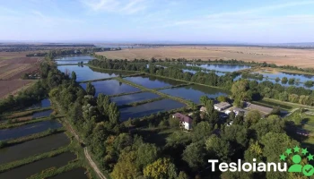 Centrul De Cercetări Pentru Piscicultură - Nucet 137335