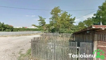 Chei auto Târgu Neamt - Târgu Neamț