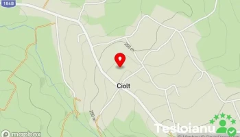 Ciolt - Ciolt