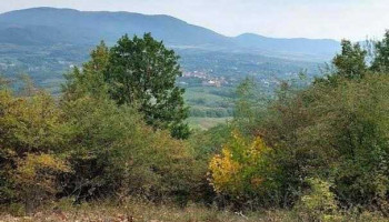 Comuna Gherța Mică - Romania