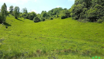 Comuna Lazuri de Beiuș - Romania