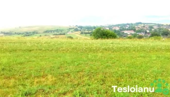 Comuna Sâncraiu - Romania