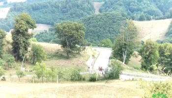 Comuna Târlișua - Romania