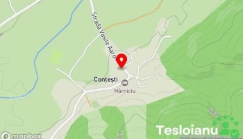 Conţeşti - Conţeşti