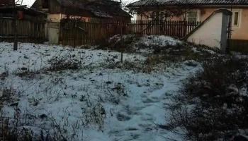 Conțești - Conțești