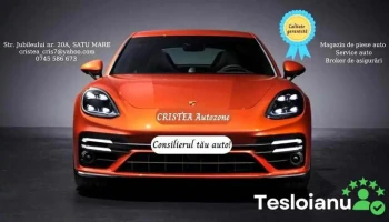 Cristea AutoZone - Satu Mare 440233