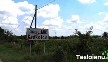 Culciu Mic - Culciu Mic