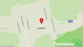 Custura - Custura