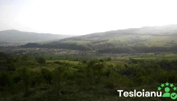 Căpeţi - Căpeţi