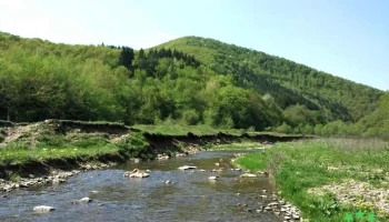 Căpuşu Mic - Căpuşu Mic
