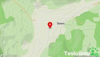 Deleni - Deleni