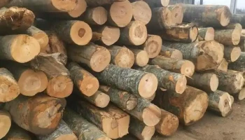 Depozit Cherestea Posta Calnau - Poșta Câlnău