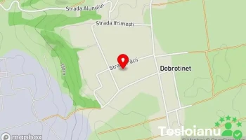 Dobrotinet - Dobrotinet