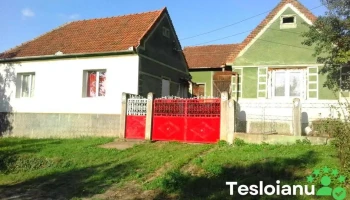 Drauț - Drauț