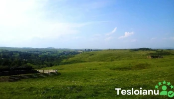 Drăgoiești - Drăgoiești