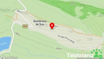 Dumbrava de Sus - Dumbrava De Sus