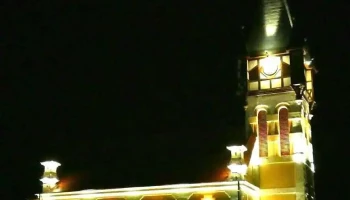 Dumbrava - Dumbrava