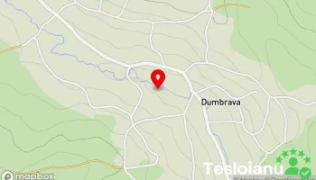 Dumbrava - Dumbrava