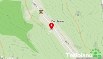 Dumbrava - Dumbrava